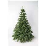  Green Trees   240  