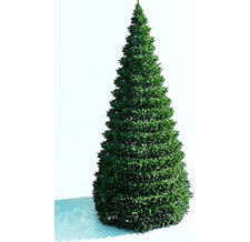    Green Trees 4 ,  (-)