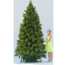   Green Trees  Premium 6.5 