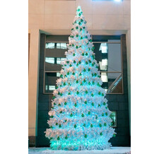  Green Trees   29 