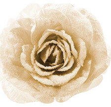 Роза Заснеженная 12 см кремовая, клипса Kaemingk
