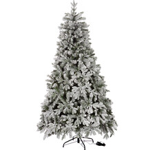   Crystal Trees      240 