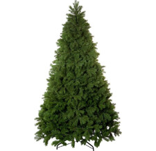   Crystal Trees  180  