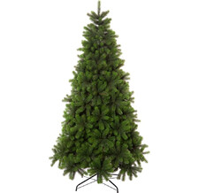   Crystal Trees   180 